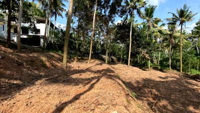 Image of 3000 Sq.ft Residential Plot / Land for sale in Sreekariyam, Thiruvananthapuram for Rs. 4500000