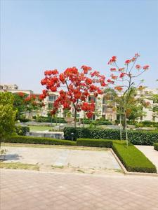 Image of 172 Sq.ft Residential Plot / Land for sale in BPTP Amstoria , Sector 102, Gurgaon for Rs. 68500000