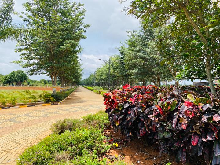 Ajmal Flora Valley Phase II Main Image 1