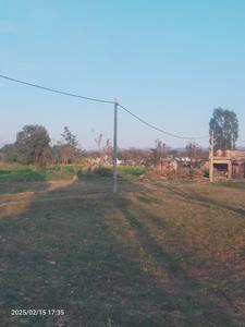 Muthi Plot View 3