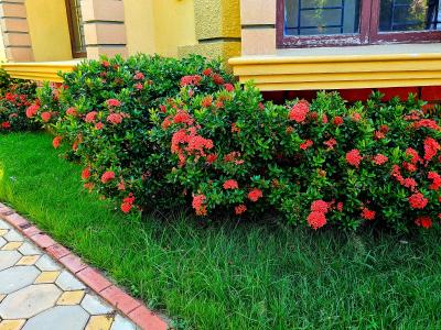 Image of 7700 Sq.ft 5 BHK Independent House for sale in Padur, Chennai for Rs. 105000000