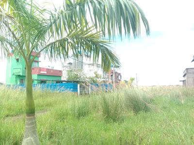 Image of 1440 Sq.ft Residential Plot / Land for sale in Fresco Fountain City Plots, Sankharipota, Raypur for Rs. 650003