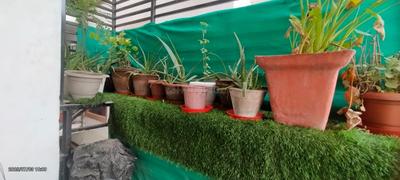 Balcony Image of 1515 Sq.ft 4 BHK Independent House for sale in Palam New Delhi for Rs. 19000000