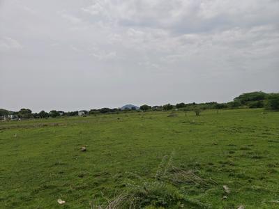 Image of 690 Sq.ft Residential Plot / Land for sale in Paranur, Chennai for Rs. 1034312