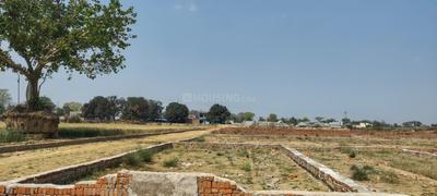Image of 6500 Sq.ft Residential Plot / Land for sale in Jhusi, Allahabad for Rs. 1200000