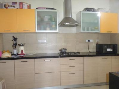 Kitchen Image of 1450 Sq.ft 2.5 BHK Apartment / Flat for rent in Park Royale, Rahatani Pune for Rs. 50000