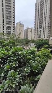 Balcony Image of 1753 Sq.ft 3 BHK Apartment / Flat for rent in DLF Capital Greens Phase 1 And 2, Karampura New Delhi for Rs. 65000