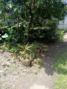 Image of 871 Sq.ft Residential Plot / Land for sale in Palluruthy, Kochi for Rs. 1600000