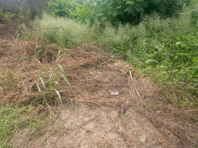 Image of 1800 Sq.ft Residential Plot / Land for sale in Sahnewal, Ludhiana for Rs. 2800000