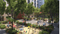 Vasant Fiona Outside View 1