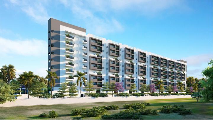 Platinum East Woods Main Image 1