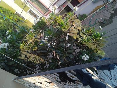 Balcony Image of 3000 Sq.ft 5 BHK Independent House for sale in Nanda Nagar Indore for Rs. 20800000