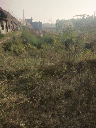 Suman Nagar Main Image 1