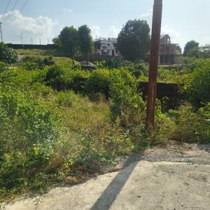 Image of 312 Sq.ft Residential Plot / Land for sale in Galajwari, Dehradun for Rs. 18650000