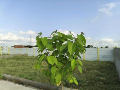 Image of 72 Sq.ft Residential Plot / Land for sale in Bhanauta, Greater Noida for Rs. 3455000