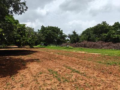 Image of 39300 Sq.ft Residential Plot / Land for sale in Kothapalle, Hyderabad for Rs. 60900000