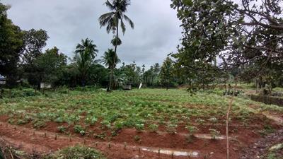 Image of 21780 Sq.ft Residential Plot / Land for sale in Chalakudy, Thrissur for Rs. 12500000