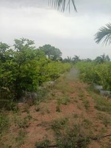 Image of 242 Sq.ft Residential Plot / Land for sale in Shamirpet, Hyderabad for Rs. 2450000