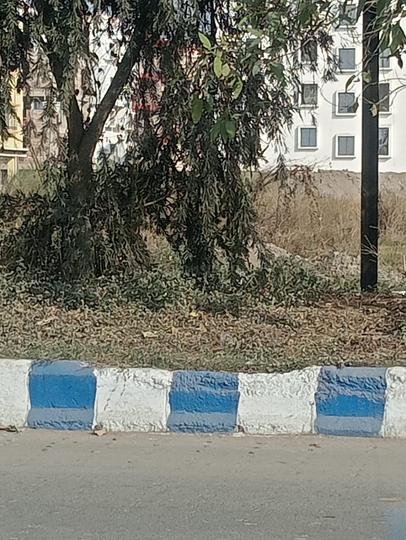 Bengal Akankha Main Image 1