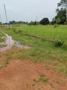 Image of 1250 Sq.ft Residential Plot / Land for sale in Phulnakhara, Cuttack for Rs. 3875000