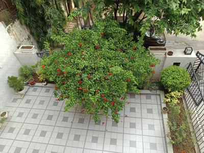 Image of 2550 Sq.ft 3 BHK Builder Floor for sale in Uppal Southend, Sector 49, Gurgaon for Rs. 20000000