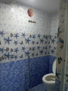 Bathroom Image of 600 Sq.ft 2 BHK Apartment / Flat for rent in MP Housing Board Colony Bhilai for Rs. 8500