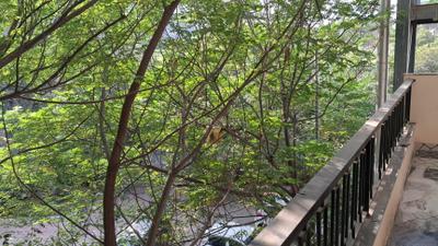 Balcony Image of 500 Sq.ft 1 RK Builder Floor for rent in Sector 28 Gurgaon for Rs. 28000
