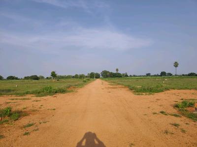 Image of 250 Sq.ft Residential Plot / Land for sale in Alair, Yadadri Bhuvanagiri for Rs. 2497500