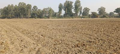 Image of 43560 Sq.ft Residential Plot / Land for sale in Sampla, Rohtak for Rs. 140000000