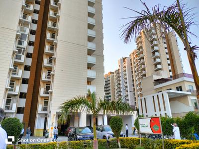 Image of 1950 Sq.ft 4 BHK Apartment / Flat for sale in Terra Elegance, Sector 33, Bhiwadi for Rs. 8700000