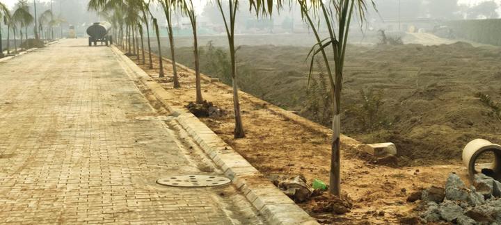 Mansha Orchid Main Image 1