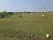 Padappai Main Image 1