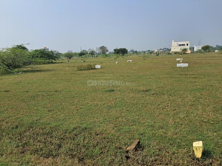 Padappai Main Image 1