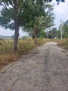 Image of 1200 Sq.ft Residential Plot / Land for sale in Yattakodi, Kolar for Rs. 3600000