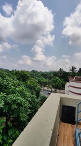 Balcony Image of PG near OUAT Radhakrishnan temple in UNIT- 9, Bhubaneswar