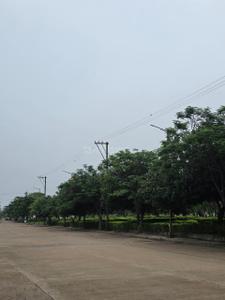 Image of 2576 Sq.ft Residential Plot / Land for sale in Pirda-2, Raipur for Rs. 6697000