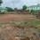 492 gajalu land for sale Plot View 2