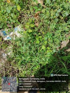 Image of 1200 Sq.ft Residential Plot / Land for sale in Banashankari, Bengaluru for Rs. 25800000