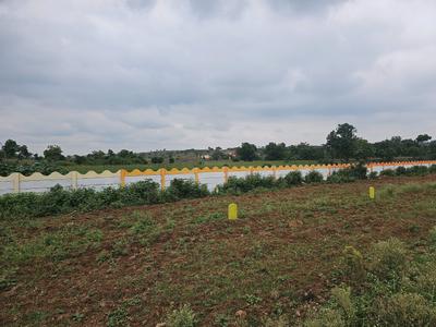 Residential Plot