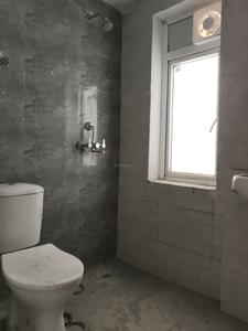 Common Bathroom Image of 750 Sq.ft 2 BHK Apartment / Flat for sale in Amrapali Dream Valley 2, Noida Extension Greater Noida for Rs. 6300000