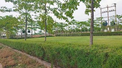 Image of 1000 Sq.ft Residential Plot / Land for sale in Amleshwar, Raipur for Rs. 1200000