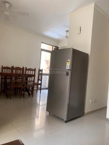 Hall Image of 160 Sq.ft 1 RK Apartment / Flat for rent in Amrapali Pan Oasis, Sector 70 Noida for Rs. 15500