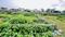 Narayan bihar city 4 Main Image 1