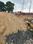Kisan Path Main Image 1