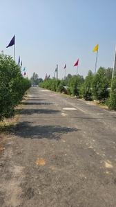 Image of 1100 Sq.ft Residential Plot / Land for sale in Gosainganj, Lucknow for Rs. 1925000
