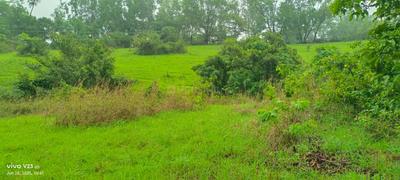 Image of 40000 Sq.ft Residential Plot / Land for sale in Maval, Lonavala for Rs. 32000000