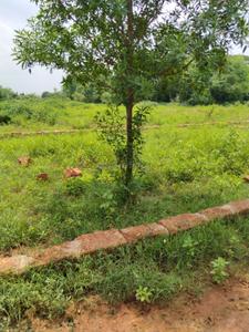 Image of 1250 Sq.ft Residential Plot / Land for sale in Phulnakhara, Cuttack for Rs. 3875000