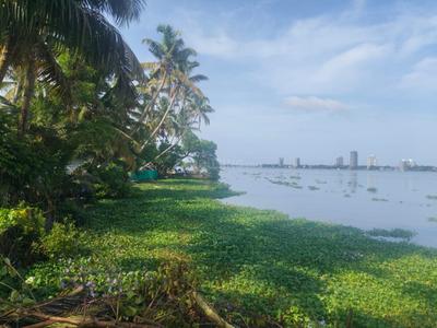 Image of 5226 Sq.ft Residential Plot / Land for sale in Panangad, Kochi for Rs. 14400000