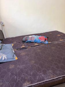 Bedroom Image of 550 Sq.ft 1.5 BHK Builder Floor for rent in DDA LIG Flats Pocket E, Dilshad Garden New Delhi for Rs. 20000