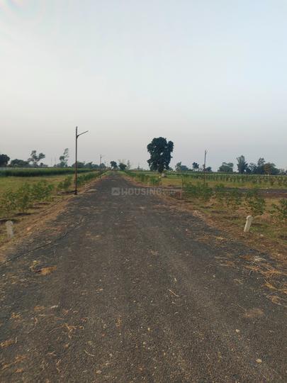 Phanda Kala More Images 1